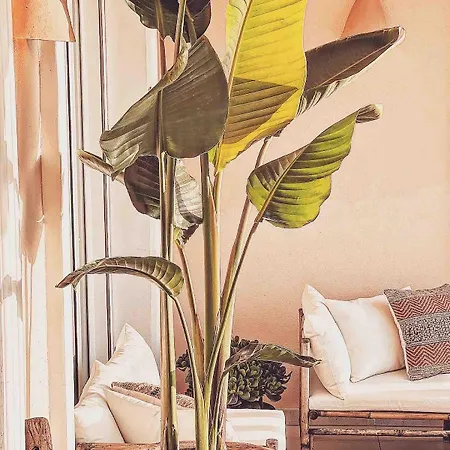 Apartment Boho Chic Ibiza Vibe 4p *