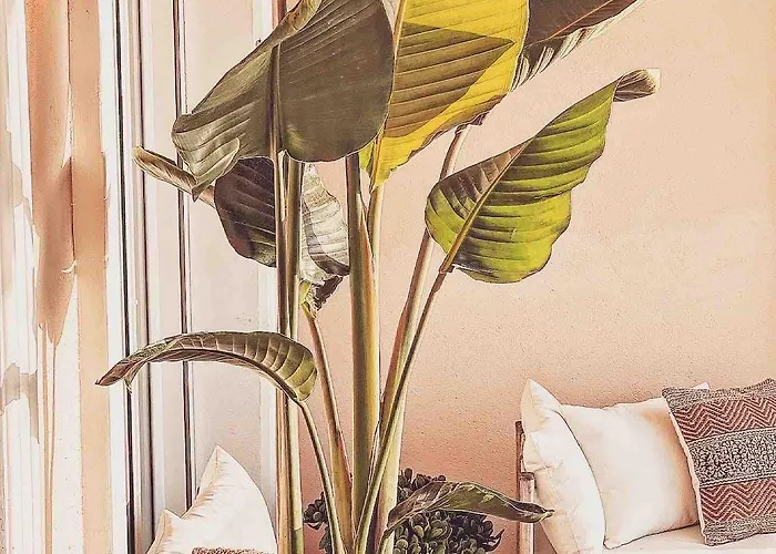 Lejlighed Boho Chic Ibiza Vibe 4p *